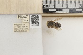 Media type: image;   Entomology 791617 Aspect: Labels